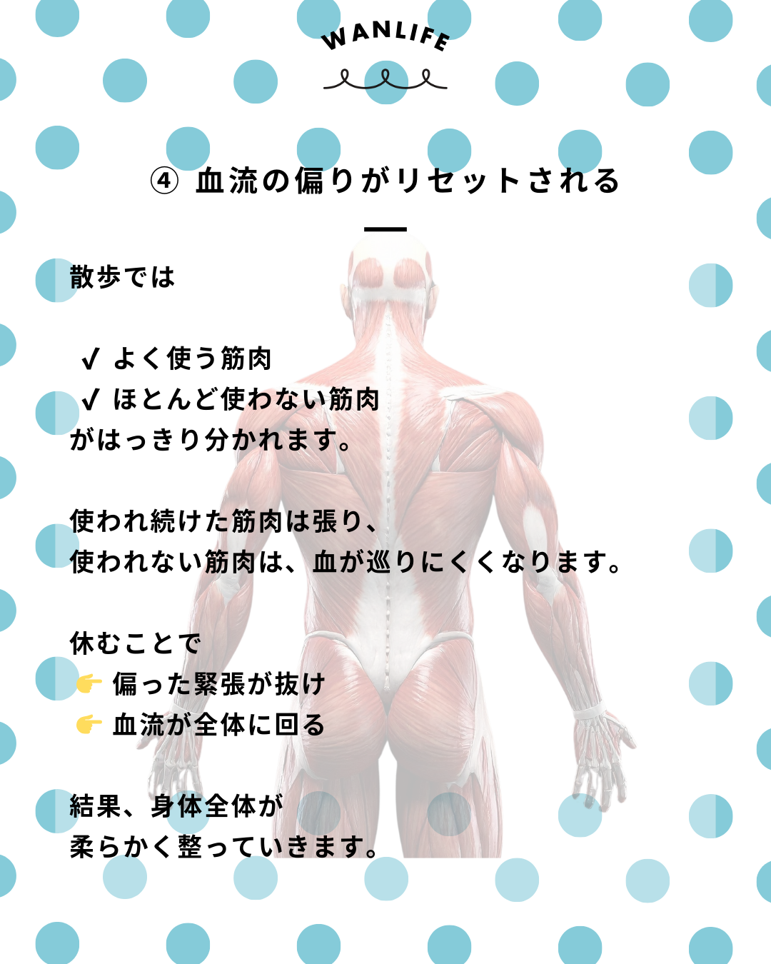 わんわん整体WanLife｜愛知・岐阜の犬の整体・メディセル筋膜リリース・歩けるくん・オベロンアニマルスキャン・ネオヒーラー・温灸・食事療法｜