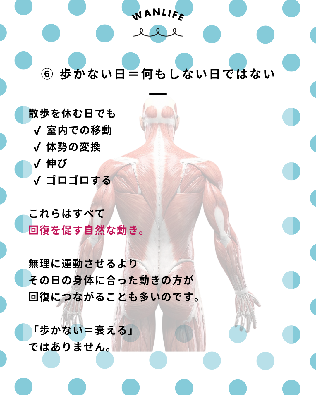 わんわん整体WanLife｜愛知・岐阜の犬の整体・メディセル筋膜リリース・歩けるくん・オベロンアニマルスキャン・ネオヒーラー・温灸・食事療法｜