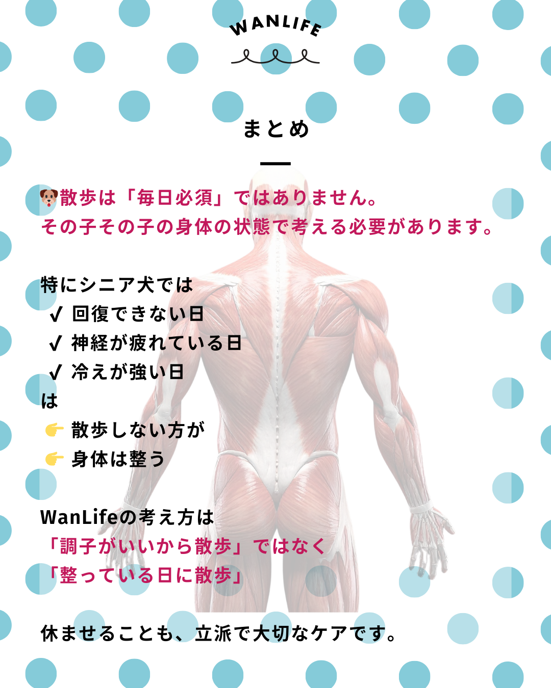 わんわん整体WanLife｜愛知・岐阜の犬の整体・メディセル筋膜リリース・歩けるくん・オベロンアニマルスキャン・ネオヒーラー・温灸・食事療法｜