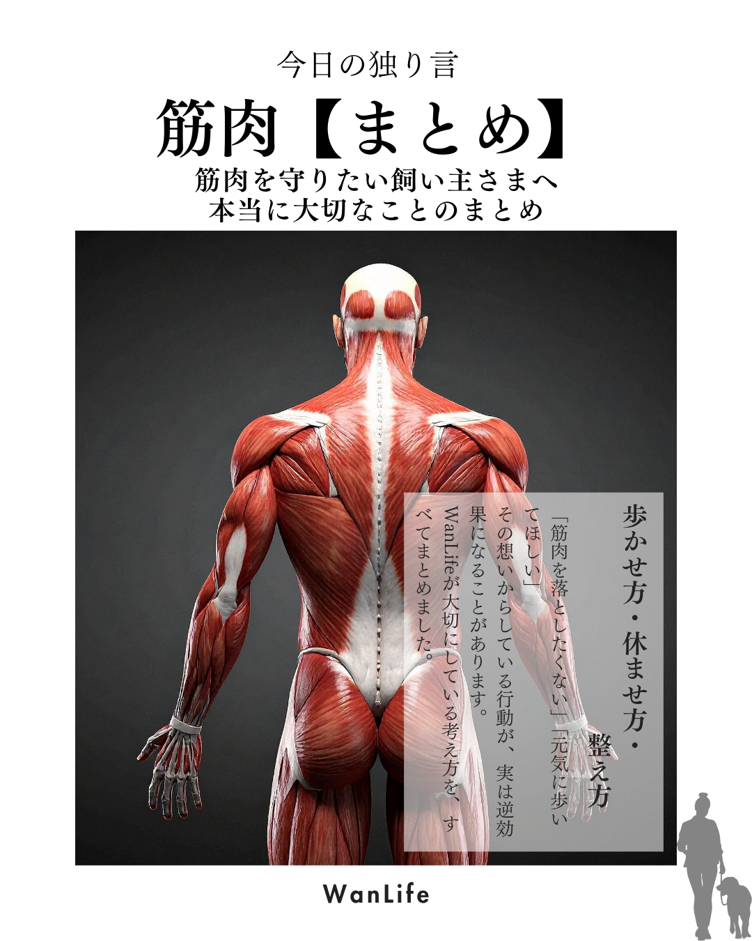 わんわん整体WanLife｜愛知・岐阜の犬の整体・メディセル筋膜リリース・歩けるくん・オベロンアニマルスキャン・ネオヒーラー・温灸・食事療法｜