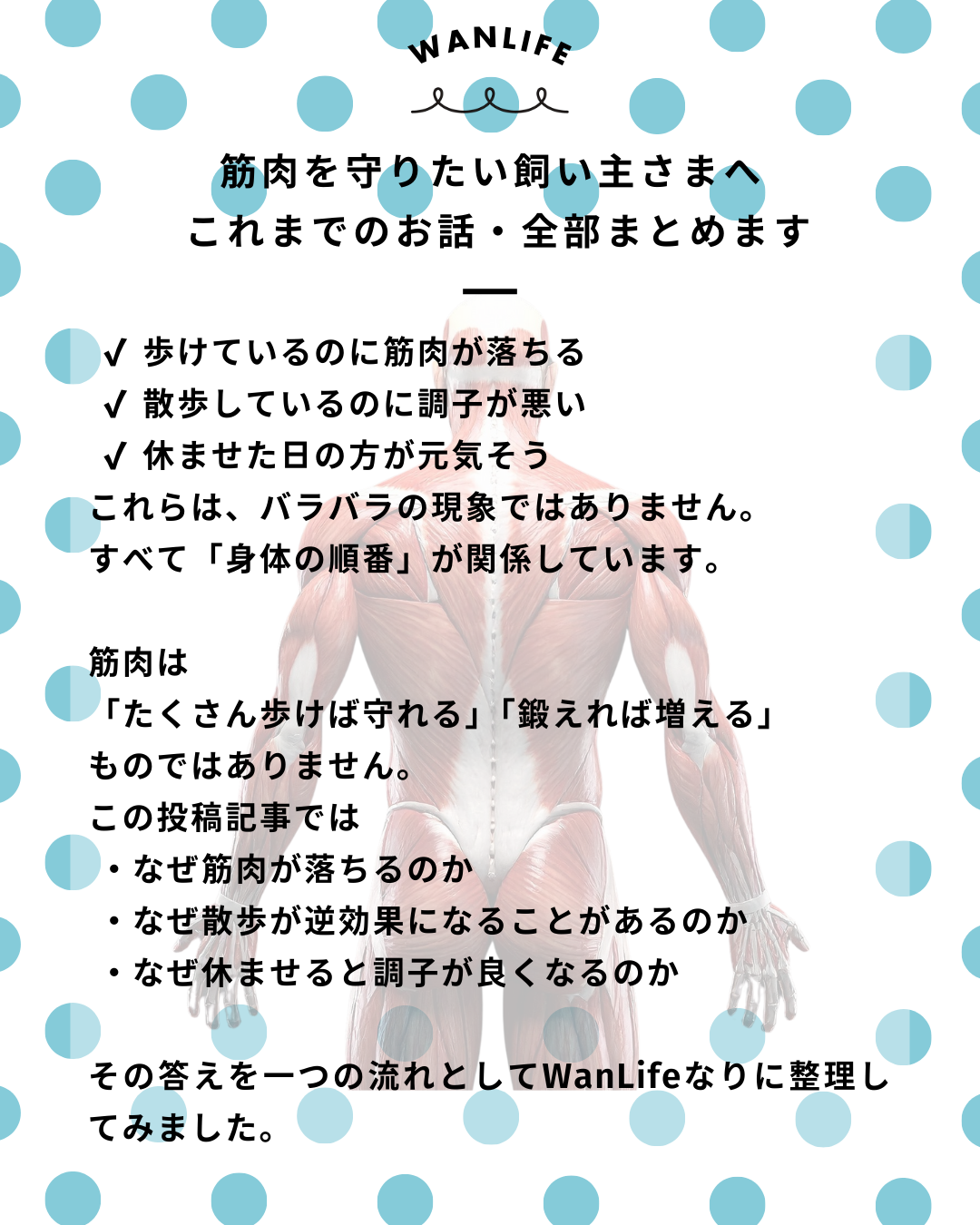 わんわん整体WanLife｜愛知・岐阜の犬の整体・メディセル筋膜リリース・歩けるくん・オベロンアニマルスキャン・ネオヒーラー・温灸・食事療法｜