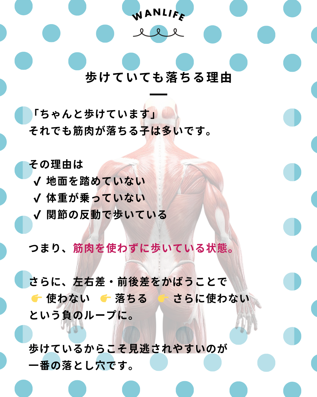 わんわん整体WanLife｜愛知・岐阜の犬の整体・メディセル筋膜リリース・歩けるくん・オベロンアニマルスキャン・ネオヒーラー・温灸・食事療法｜