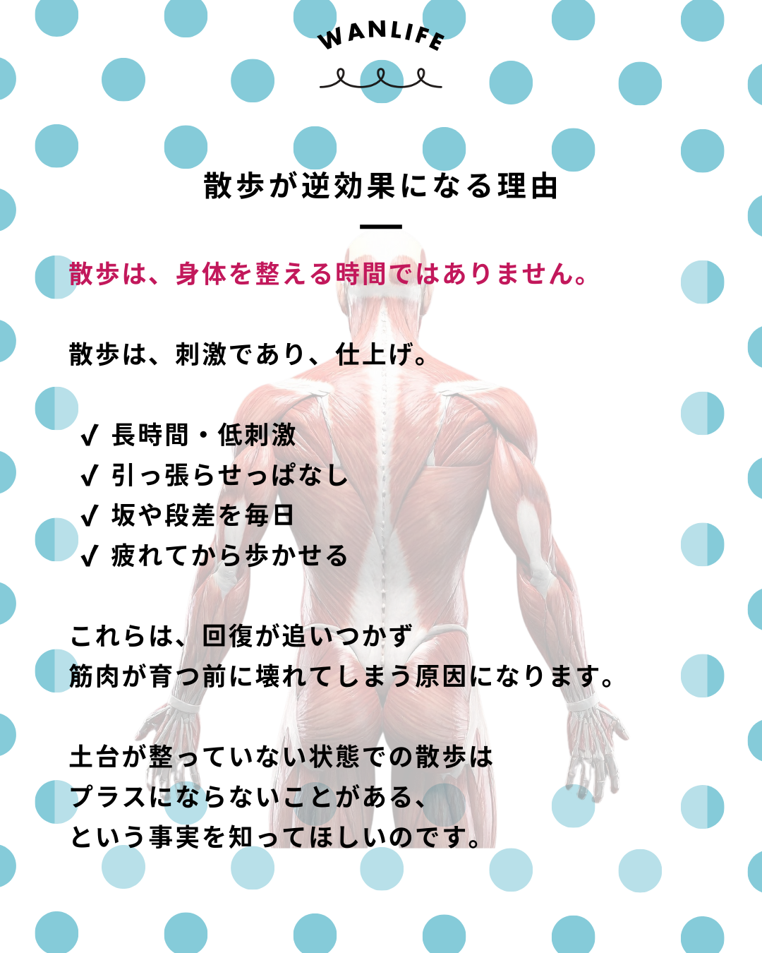 わんわん整体WanLife｜愛知・岐阜の犬の整体・メディセル筋膜リリース・歩けるくん・オベロンアニマルスキャン・ネオヒーラー・温灸・食事療法｜