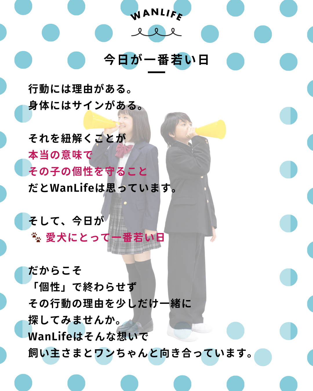 わんわん整体WanLife|愛知・岐阜の犬の整体・メディセル筋膜リリース・オベロンアニマルスキャン・ネオヒーラー・温灸・食事療法|