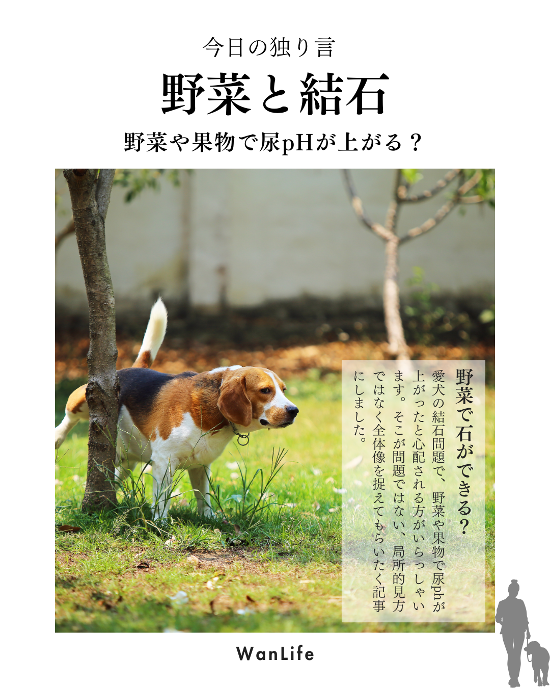 わんわん整体WanLife｜愛知・岐阜の犬の整体・メディセル筋膜リリース・オベロンアニマルスキャン・ネオヒーラー・温灸・食事療法・歩けるくん｜