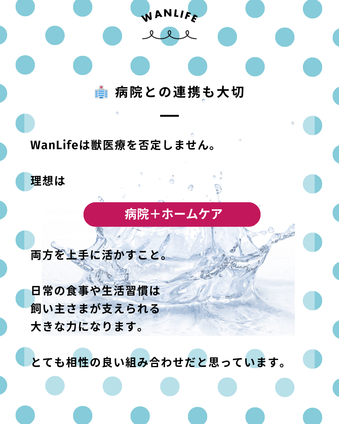 わんわん整体WanLife|愛知・岐阜の犬の整体・メディセル筋膜リリース・オベロンアニマルスキャン・ネオヒーラー・温灸・食事療法・歩けるくん|