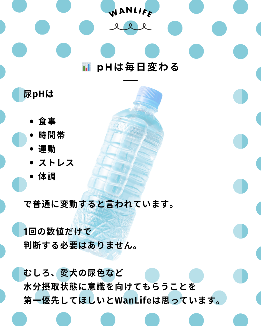 わんわん整体WanLife｜愛知・岐阜の犬の整体・メディセル筋膜リリース・オベロンアニマルスキャン・ネオヒーラー・温灸・食事療法・歩けるくん｜