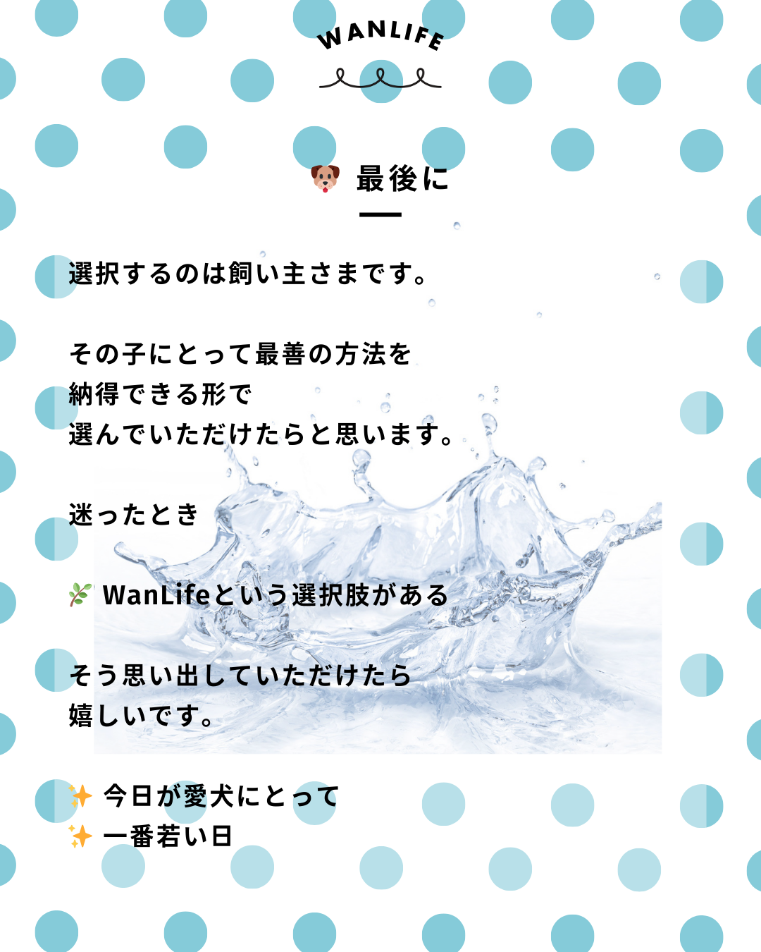 わんわん整体WanLife|愛知・岐阜の犬の整体・メディセル筋膜リリース・オベロンアニマルスキャン・ネオヒーラー・温灸・食事療法・歩けるくん|