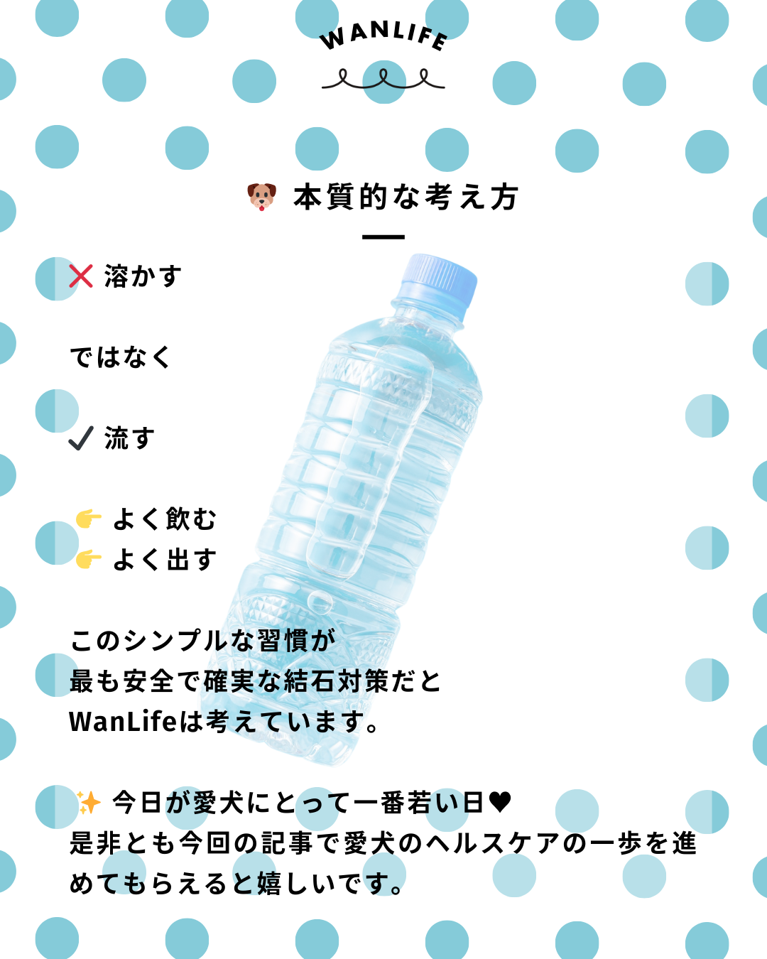 わんわん整体WanLife｜愛知・岐阜の犬の整体・メディセル筋膜リリース・オベロンアニマルスキャン・ネオヒーラー・温灸・食事療法・歩けるくん｜