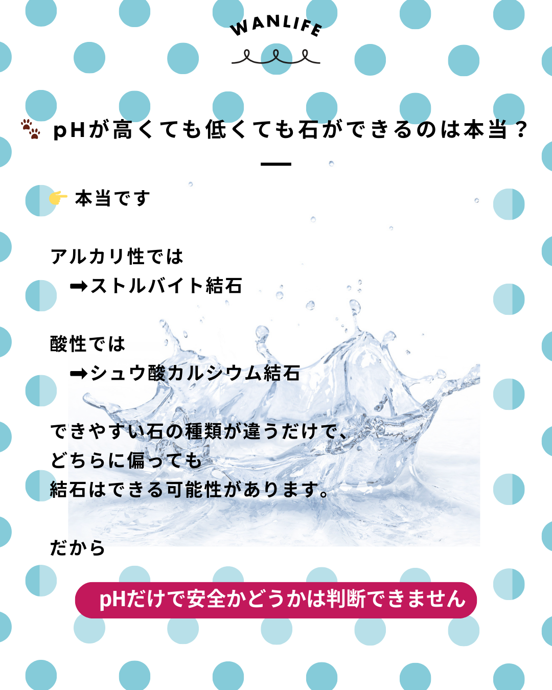 わんわん整体WanLife|愛知・岐阜の犬の整体・メディセル筋膜リリース・オベロンアニマルスキャン・ネオヒーラー・温灸・食事療法・歩けるくん|