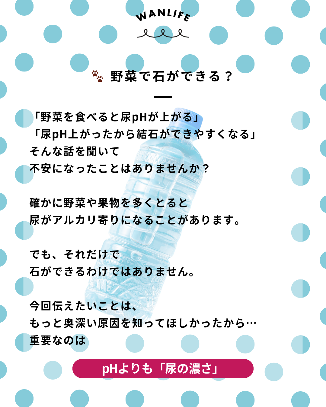 わんわん整体WanLife｜愛知・岐阜の犬の整体・メディセル筋膜リリース・オベロンアニマルスキャン・ネオヒーラー・温灸・食事療法・歩けるくん｜