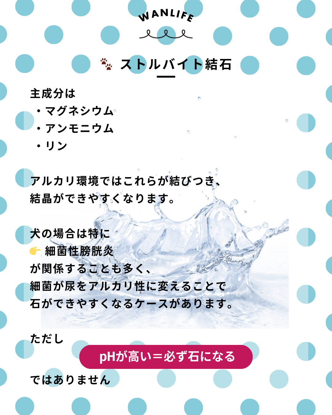 わんわん整体WanLife|愛知・岐阜の犬の整体・メディセル筋膜リリース・オベロンアニマルスキャン・ネオヒーラー・温灸・食事療法・歩けるくん|