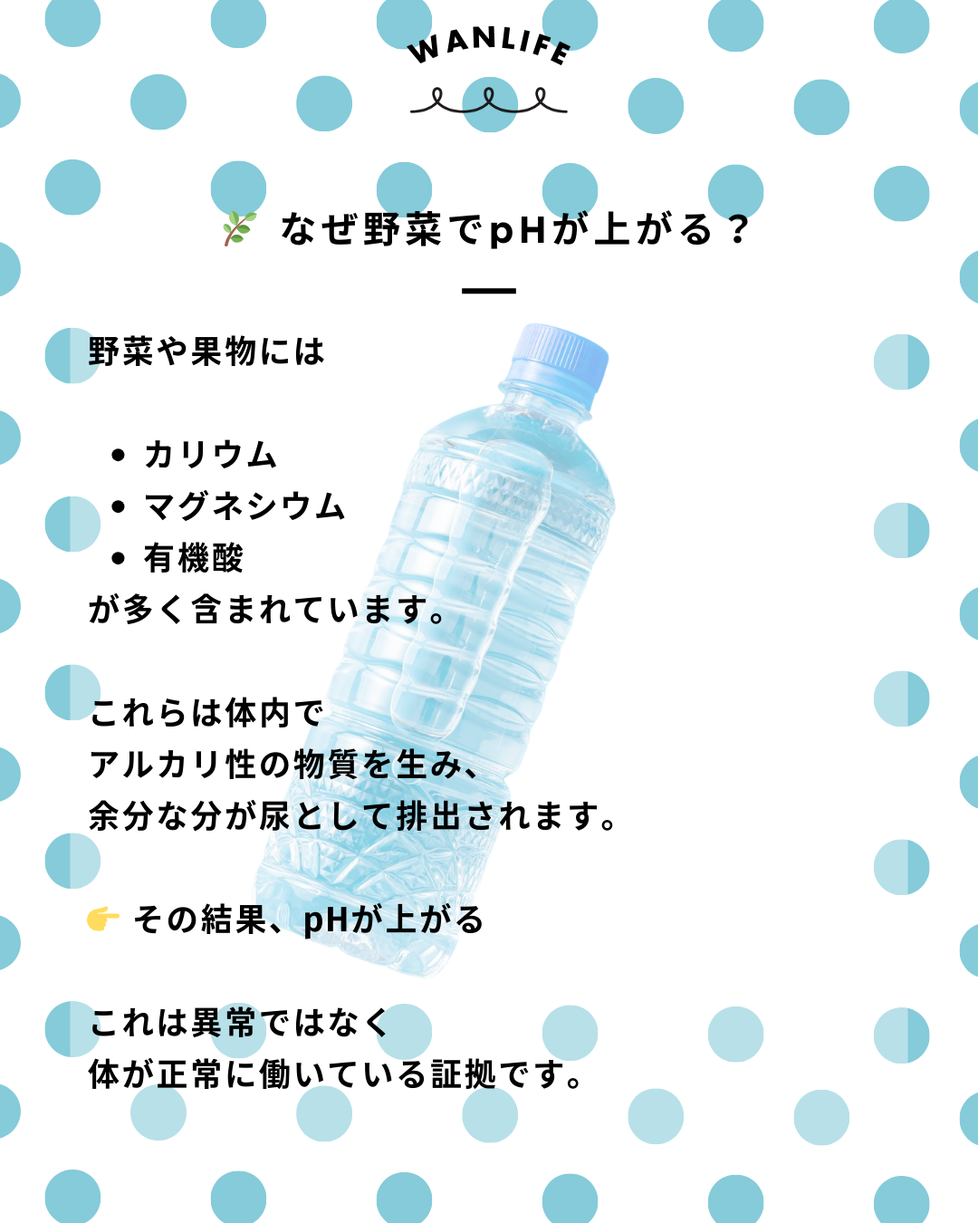 わんわん整体WanLife｜愛知・岐阜の犬の整体・メディセル筋膜リリース・オベロンアニマルスキャン・ネオヒーラー・温灸・食事療法・歩けるくん｜