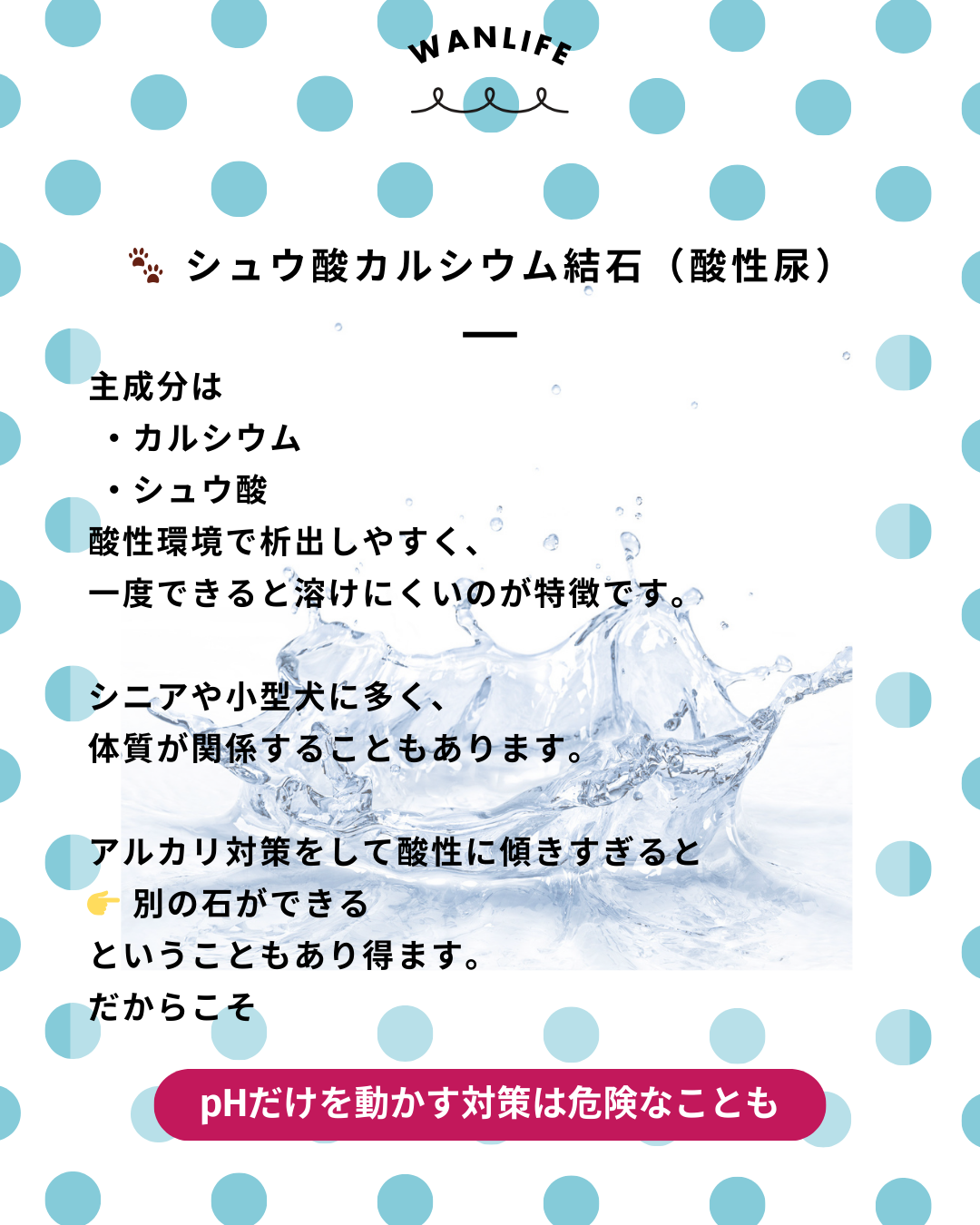 わんわん整体WanLife|愛知・岐阜の犬の整体・メディセル筋膜リリース・オベロンアニマルスキャン・ネオヒーラー・温灸・食事療法・歩けるくん|