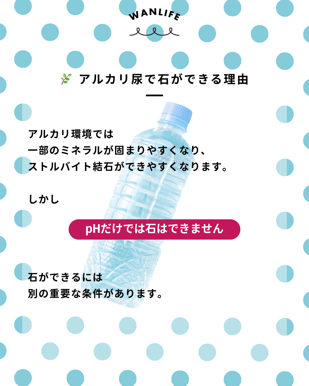 わんわん整体WanLife｜愛知・岐阜の犬の整体・メディセル筋膜リリース・オベロンアニマルスキャン・ネオヒーラー・温灸・食事療法・歩けるくん｜