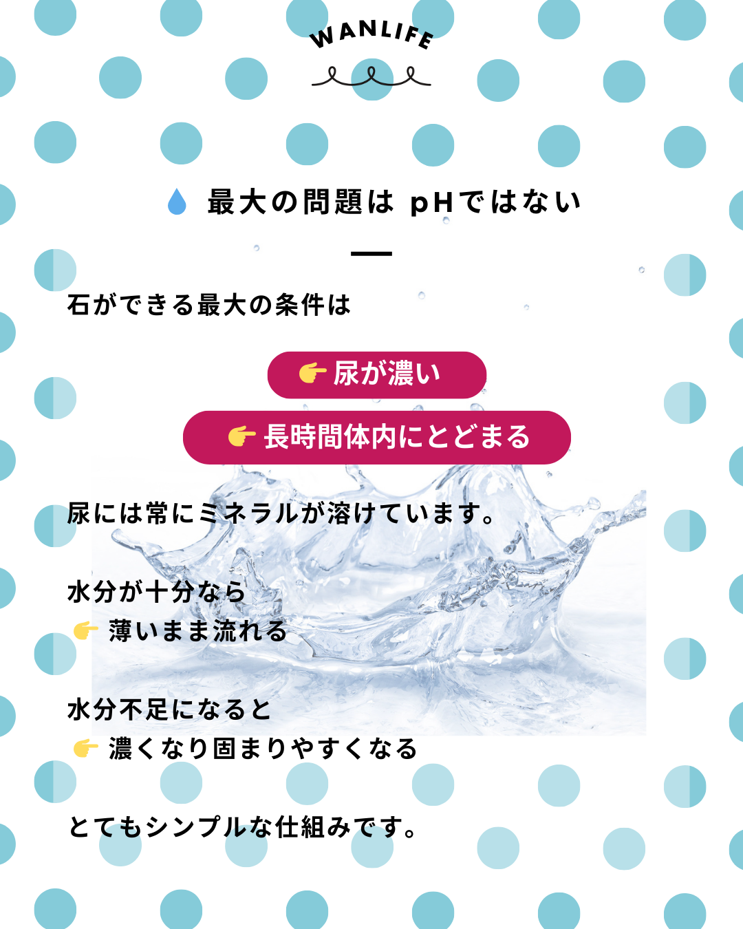 わんわん整体WanLife|愛知・岐阜の犬の整体・メディセル筋膜リリース・オベロンアニマルスキャン・ネオヒーラー・温灸・食事療法・歩けるくん|