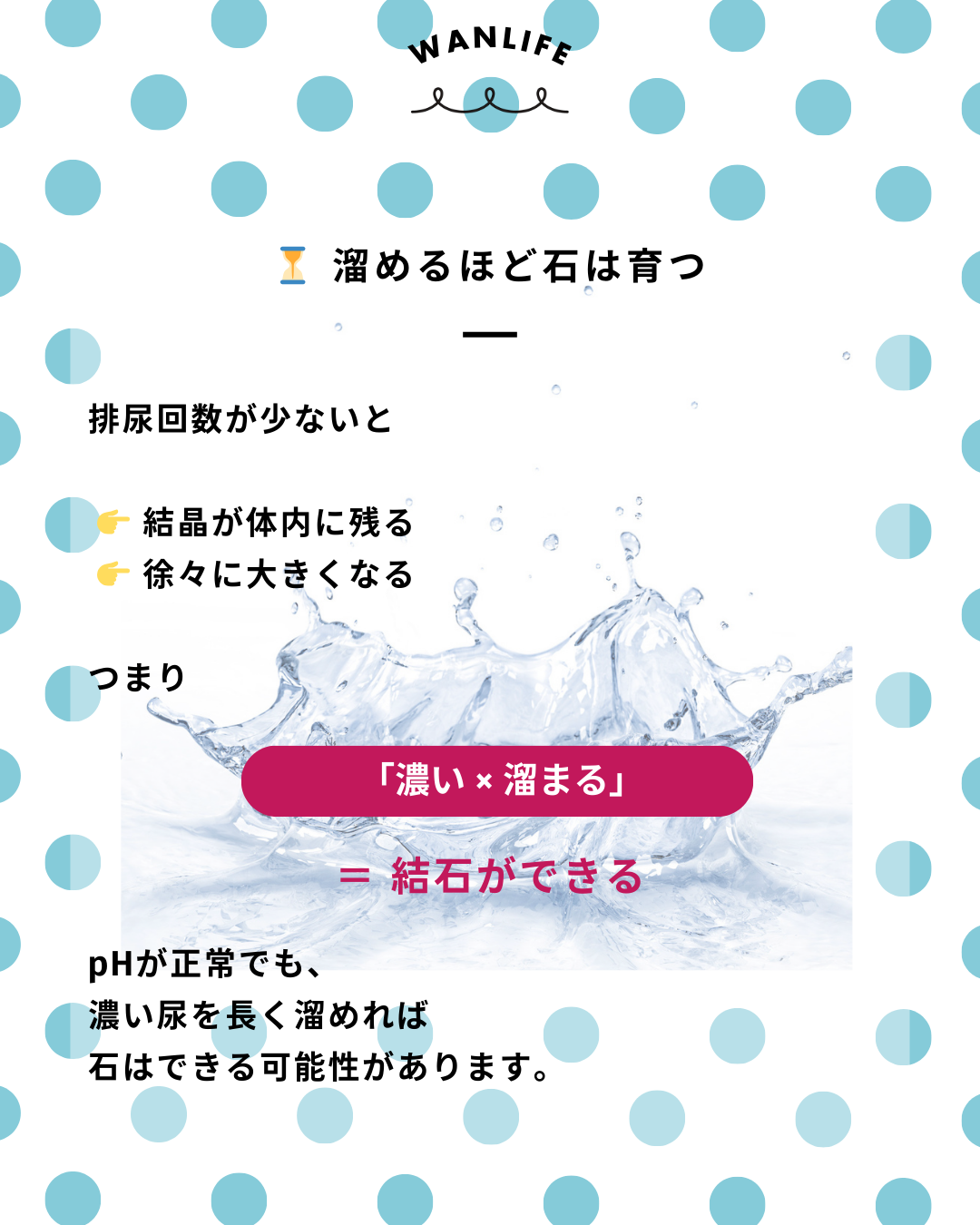 わんわん整体WanLife|愛知・岐阜の犬の整体・メディセル筋膜リリース・オベロンアニマルスキャン・ネオヒーラー・温灸・食事療法・歩けるくん|