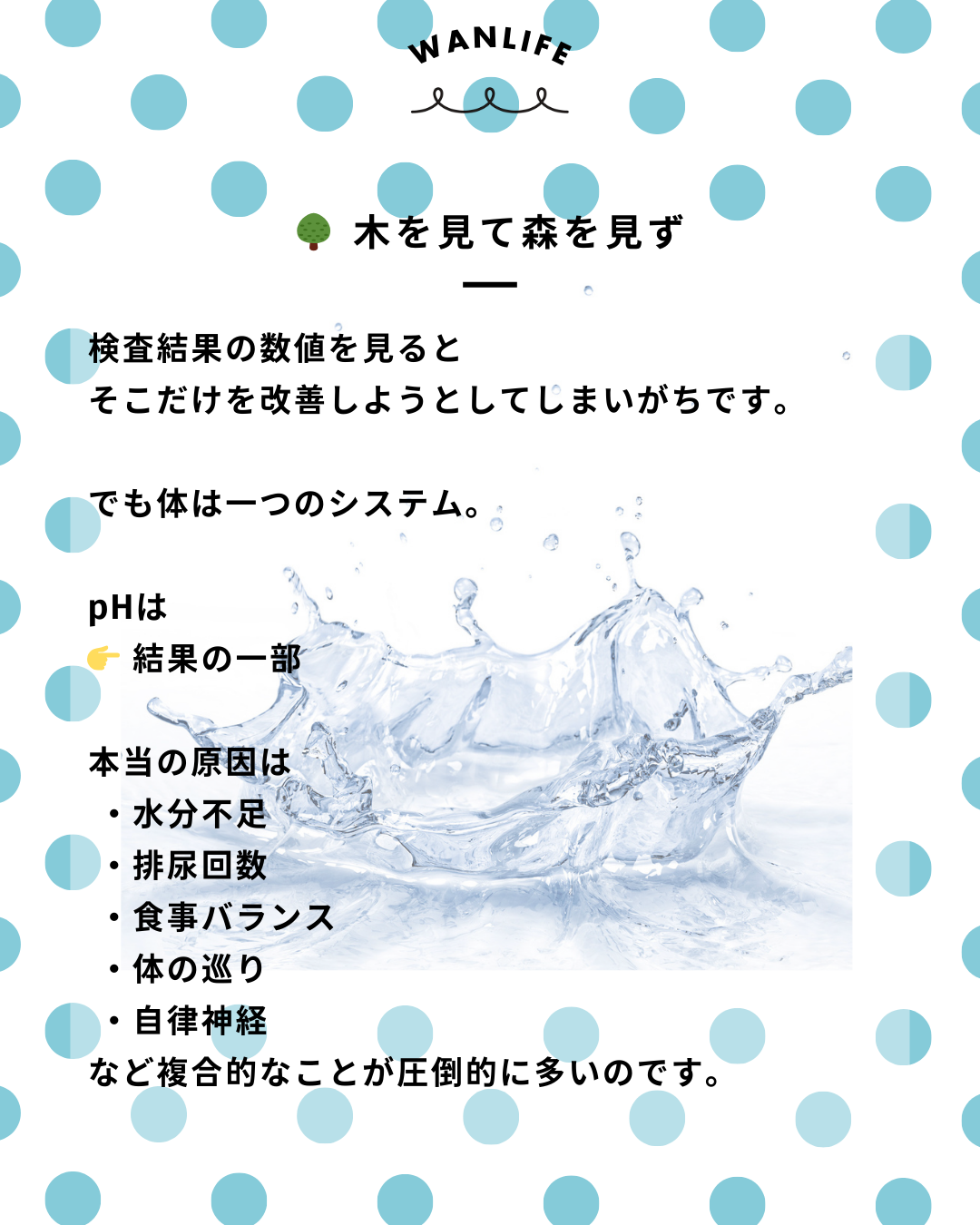 わんわん整体WanLife|愛知・岐阜の犬の整体・メディセル筋膜リリース・オベロンアニマルスキャン・ネオヒーラー・温灸・食事療法・歩けるくん|