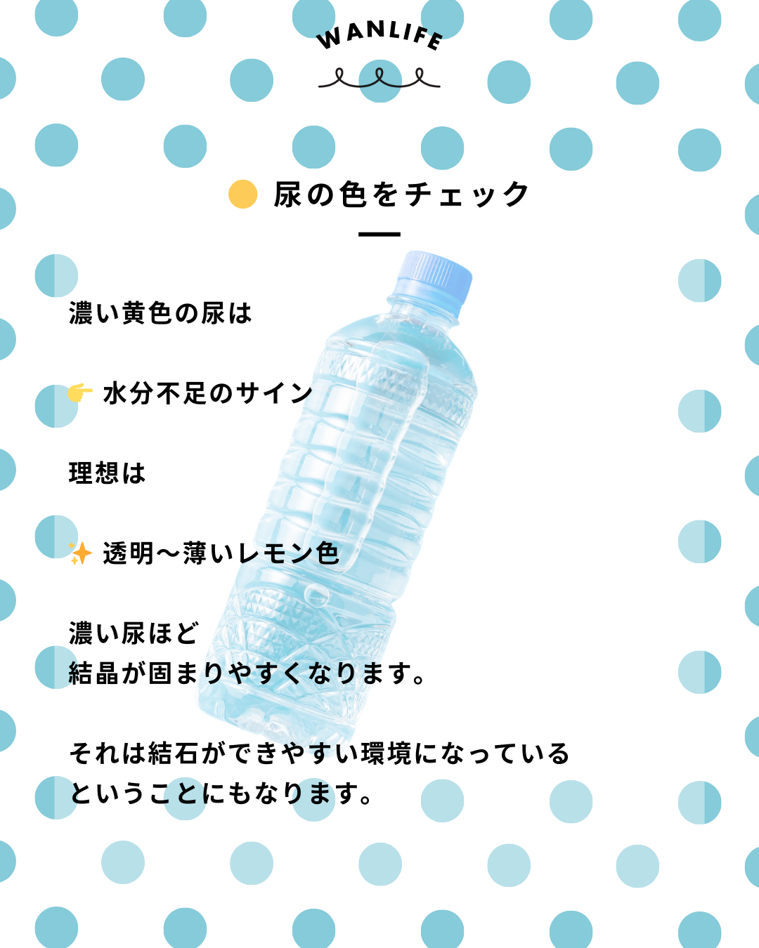 わんわん整体WanLife｜愛知・岐阜の犬の整体・メディセル筋膜リリース・オベロンアニマルスキャン・ネオヒーラー・温灸・食事療法・歩けるくん｜