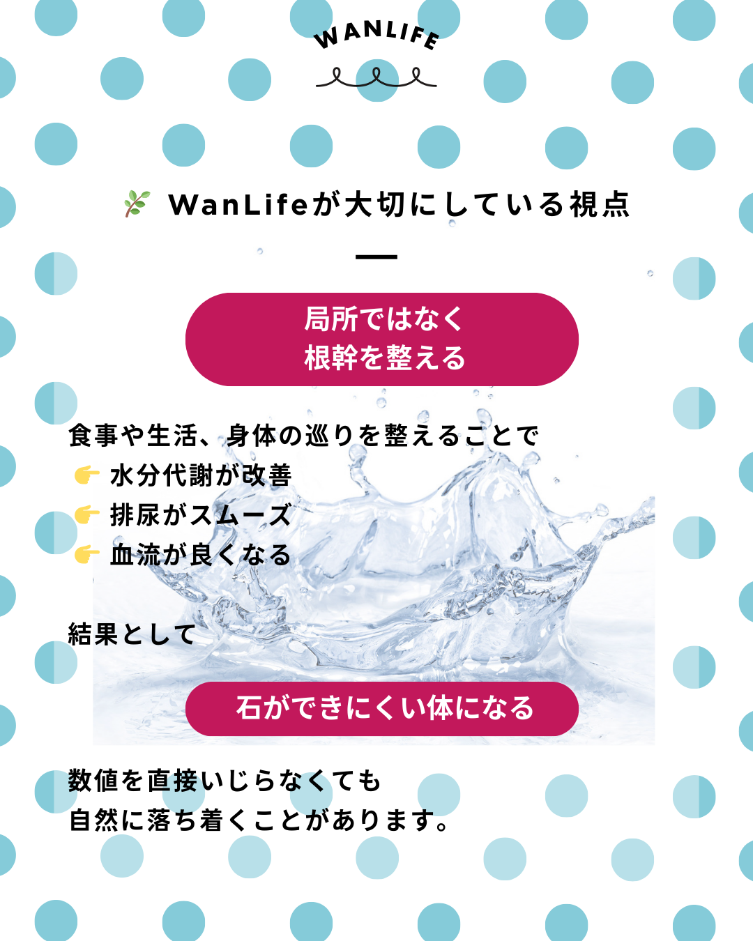 わんわん整体WanLife|愛知・岐阜の犬の整体・メディセル筋膜リリース・オベロンアニマルスキャン・ネオヒーラー・温灸・食事療法・歩けるくん|