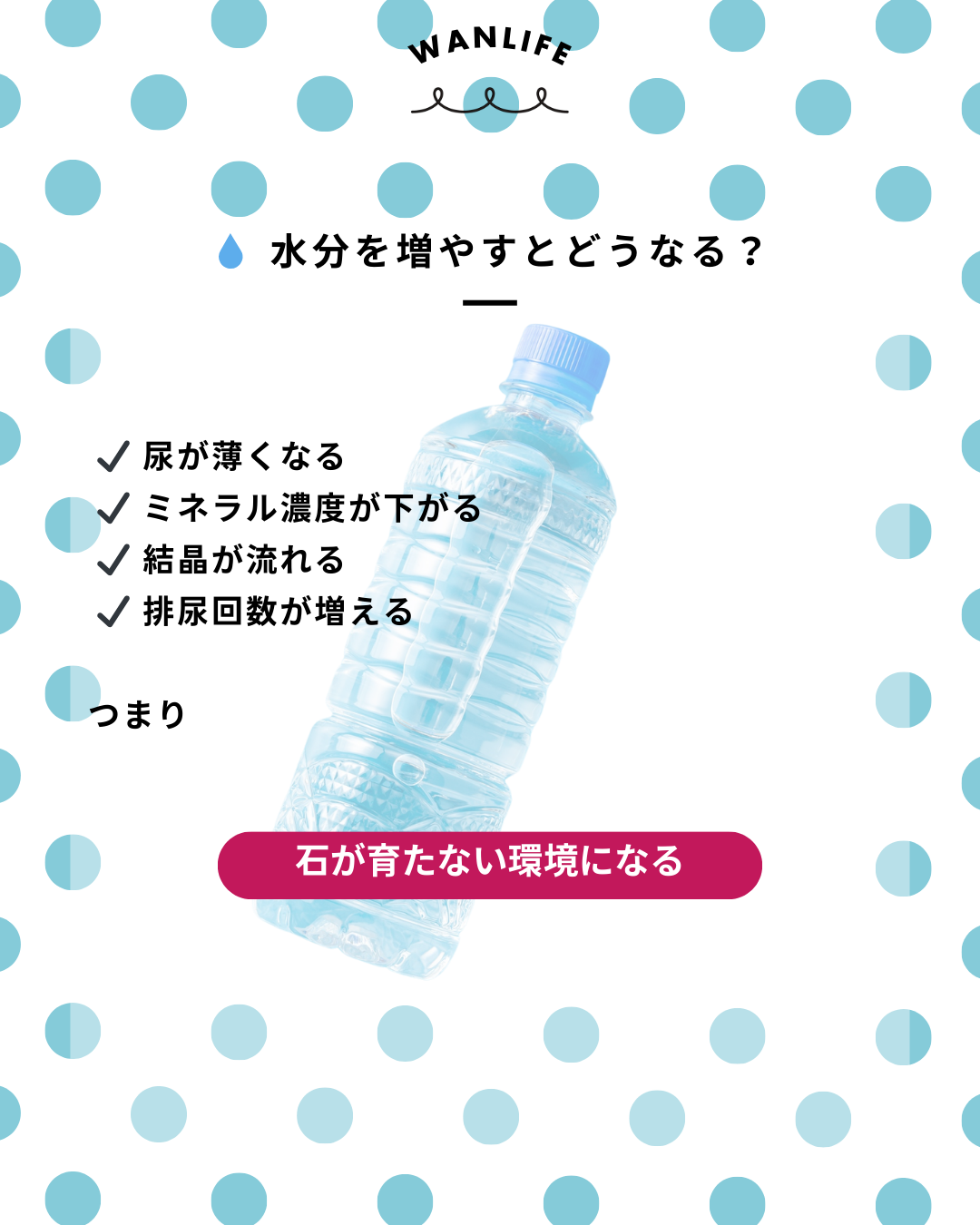 わんわん整体WanLife｜愛知・岐阜の犬の整体・メディセル筋膜リリース・オベロンアニマルスキャン・ネオヒーラー・温灸・食事療法・歩けるくん｜