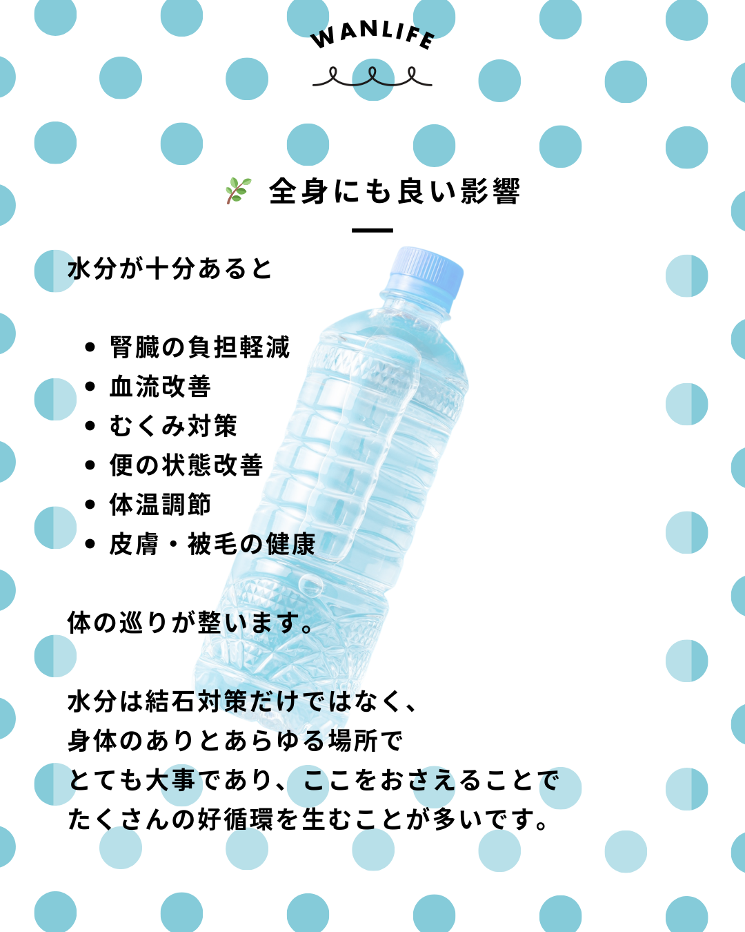 わんわん整体WanLife｜愛知・岐阜の犬の整体・メディセル筋膜リリース・オベロンアニマルスキャン・ネオヒーラー・温灸・食事療法・歩けるくん｜
