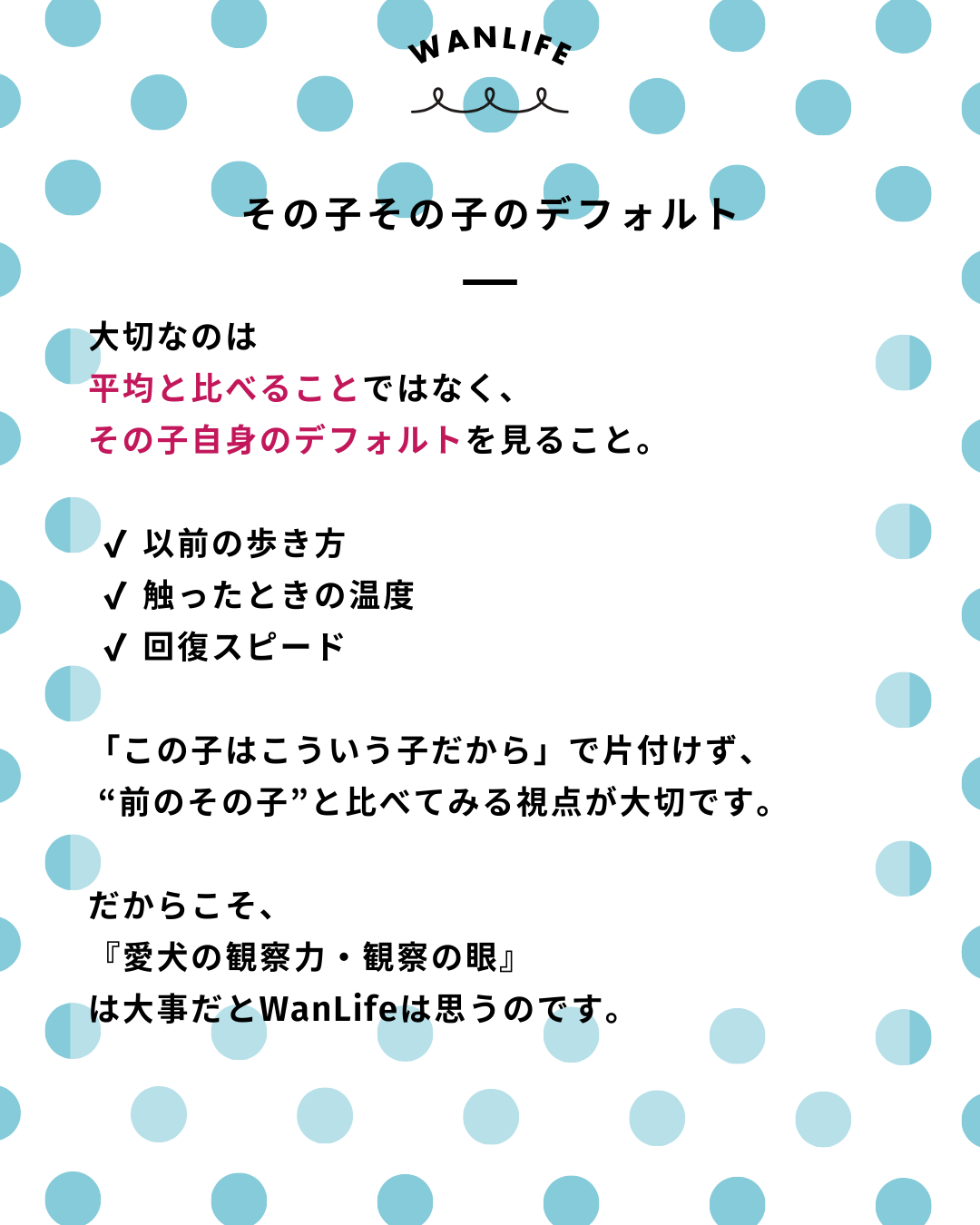 わんわん整体WanLife｜愛知・岐阜の犬の整体・メディセル筋膜リリース・オベロンアニマルスキャン・ネオヒーラー・温灸・食事療法・歩けるくん｜