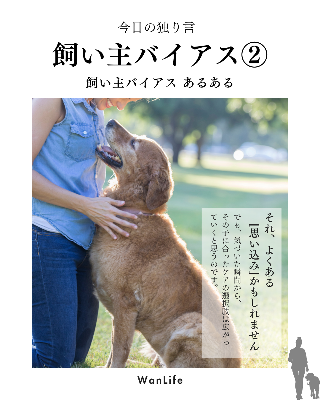 わんわん整体WanLife｜愛知・岐阜の犬の整体・メディセル筋膜リリース・オベロンアニマルスキャン・ネオヒーラー・温灸・食事療法・歩けるくん｜