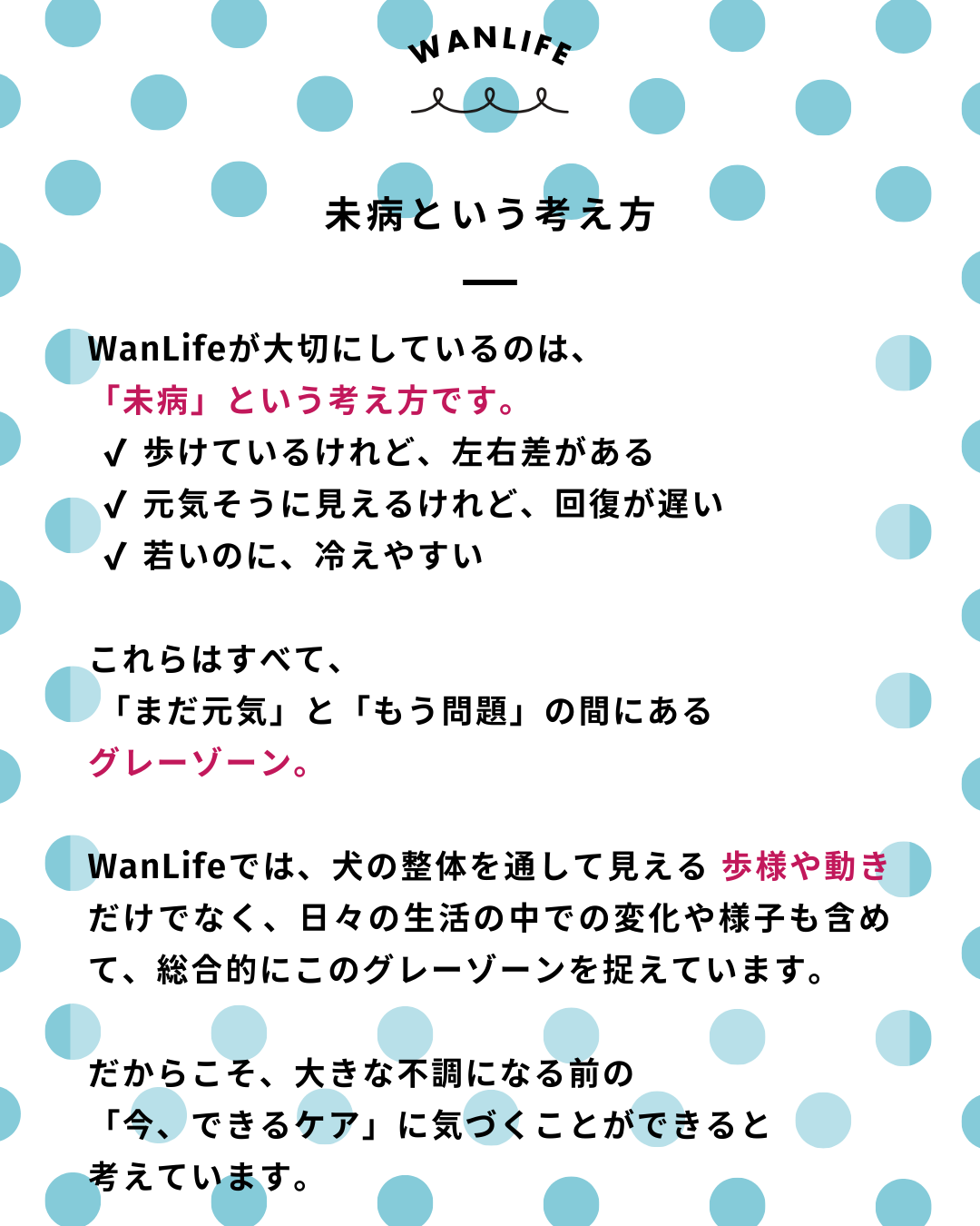 わんわん整体WanLife｜愛知・岐阜の犬の整体・メディセル筋膜リリース・オベロンアニマルスキャン・ネオヒーラー・温灸・食事療法・歩けるくん｜