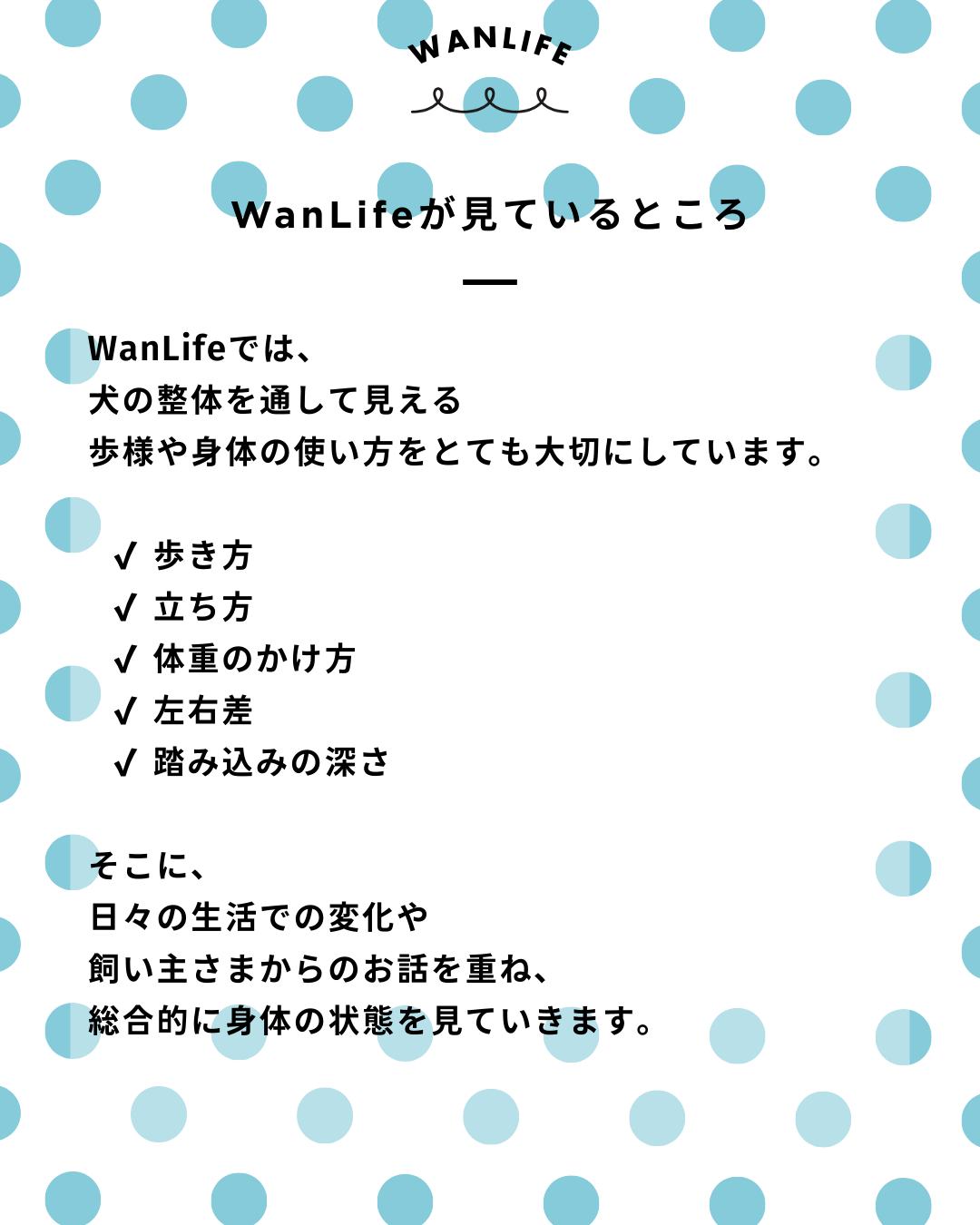 わんわん整体WanLife｜愛知・岐阜の犬の整体・メディセル筋膜リリース・オベロンアニマルスキャン・ネオヒーラー・温灸・食事療法・歩けるくん｜