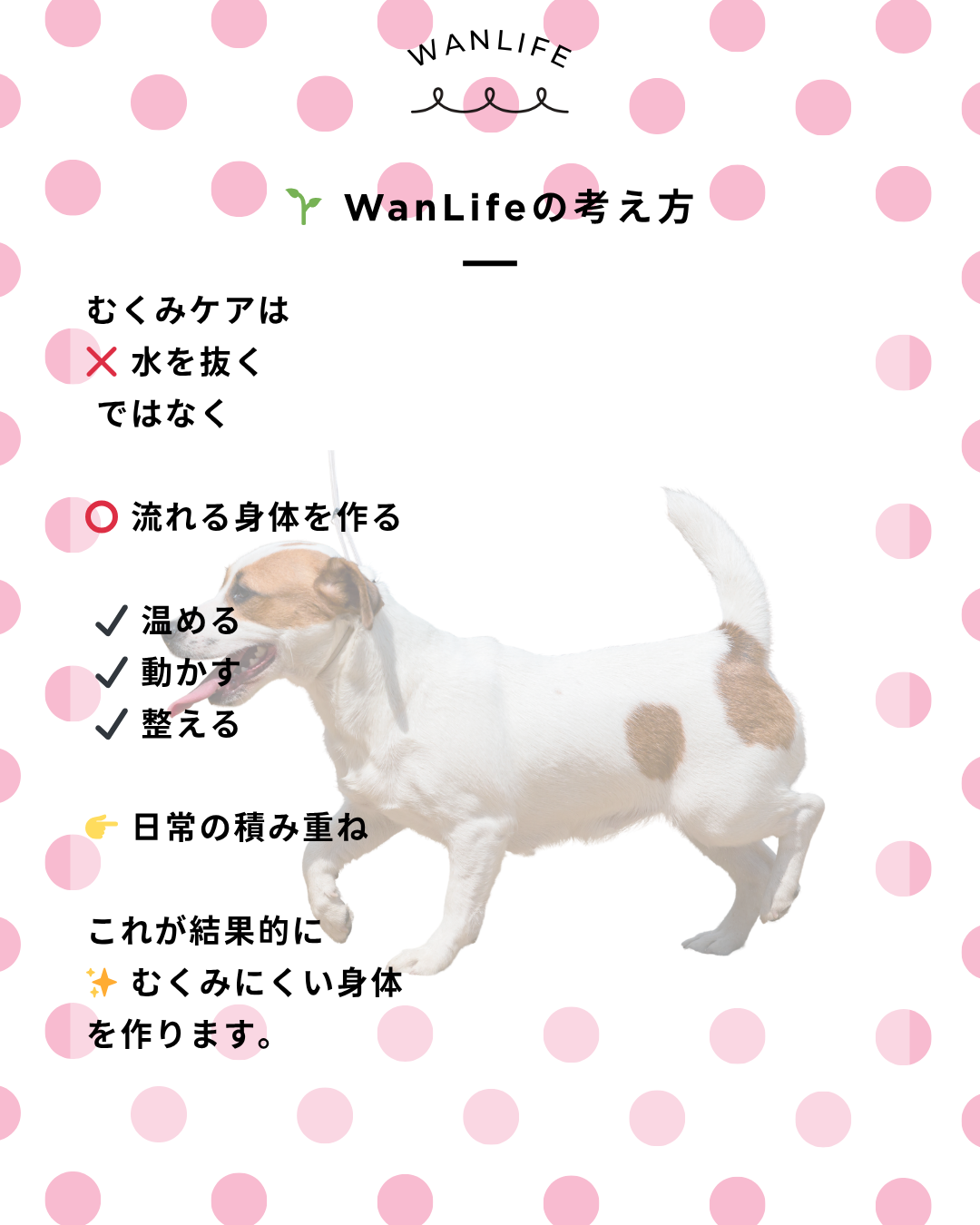 わんわん整体WanLife｜愛知・岐阜の犬の整体・メディセル筋膜リリース・オベロンアニマルスキャン・歩けるくん・ネオヒーラー・温灸・食事療法｜