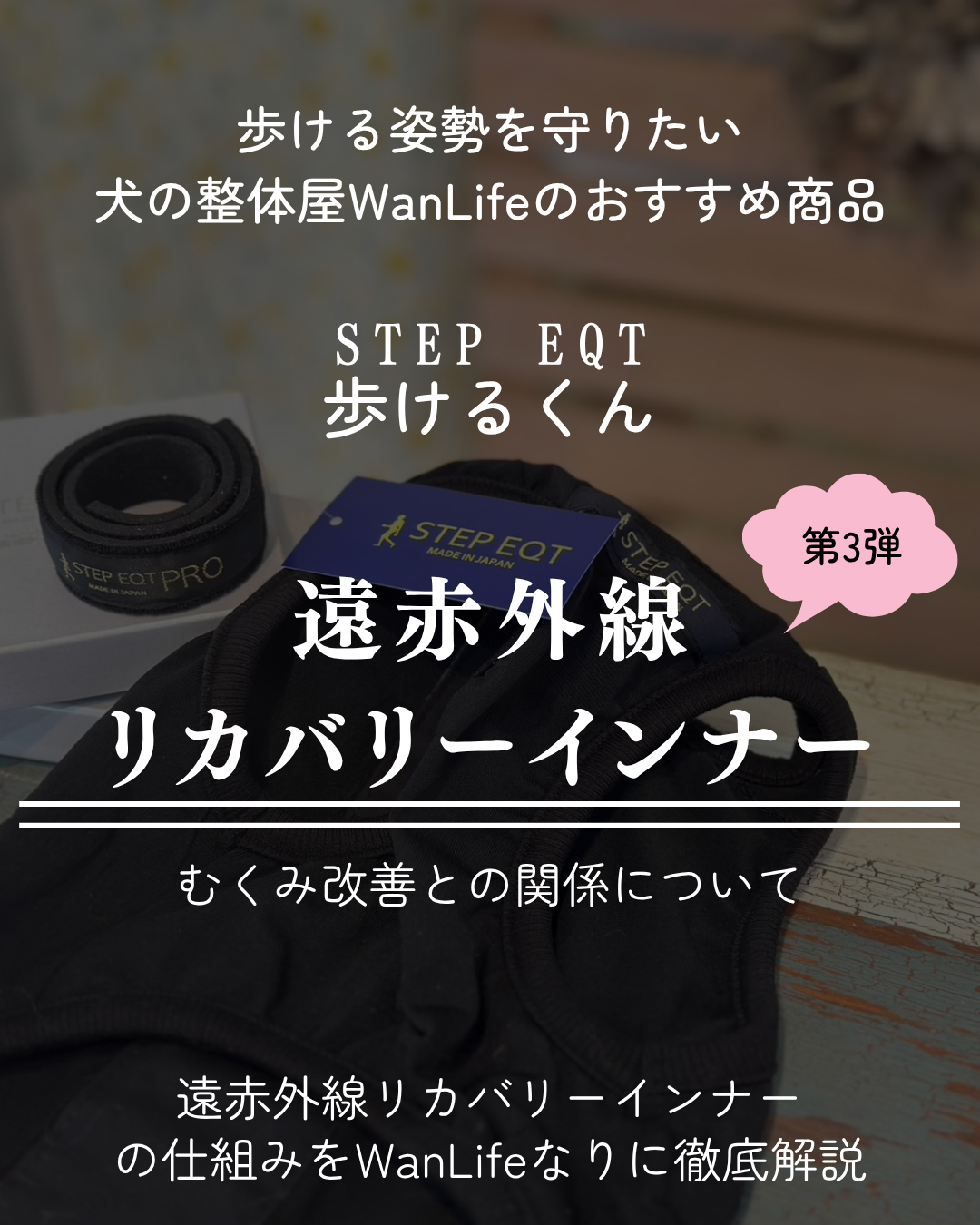 わんわん整体WanLife｜愛知・岐阜の犬の整体・メディセル筋膜リリース・オベロンアニマルスキャン・歩けるくん・ネオヒーラー・温灸・食事療法｜