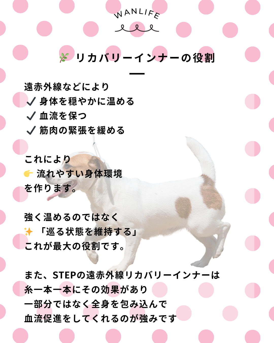 わんわん整体WanLife｜愛知・岐阜の犬の整体・メディセル筋膜リリース・オベロンアニマルスキャン・歩けるくん・ネオヒーラー・温灸・食事療法｜