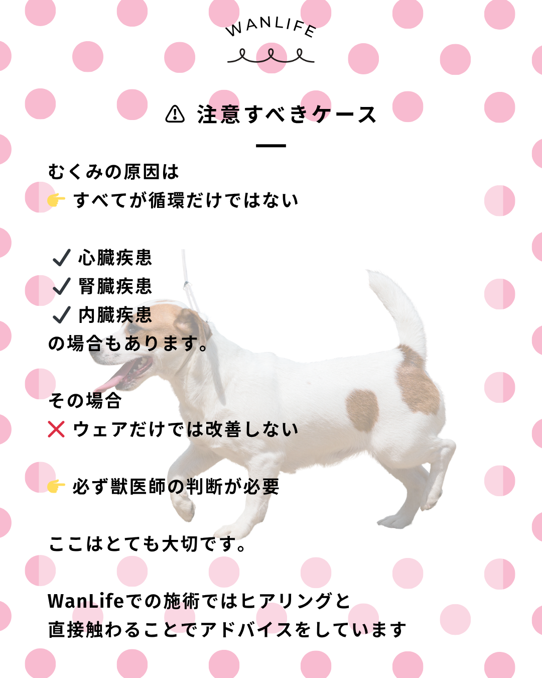 わんわん整体WanLife｜愛知・岐阜の犬の整体・メディセル筋膜リリース・オベロンアニマルスキャン・歩けるくん・ネオヒーラー・温灸・食事療法｜