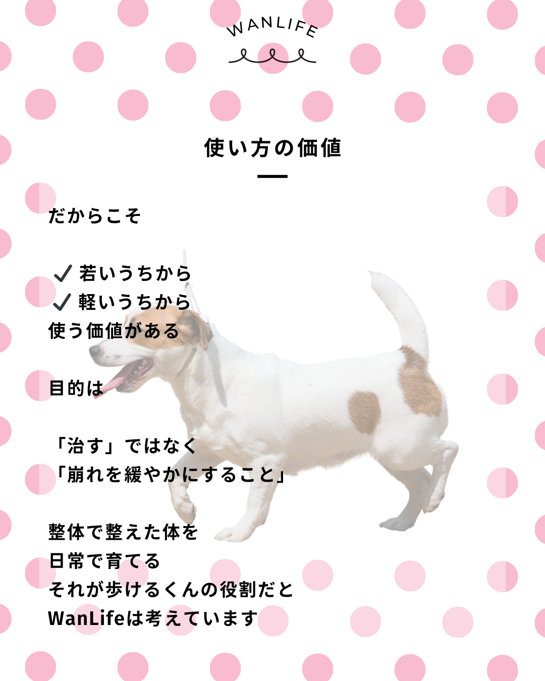 わんわん整体WanLife|愛知・岐阜の犬の整体・メディセル筋膜リリース・オベロンアニマルスキャン・歩けるくん・ネオヒーラー・温灸・食事療法|