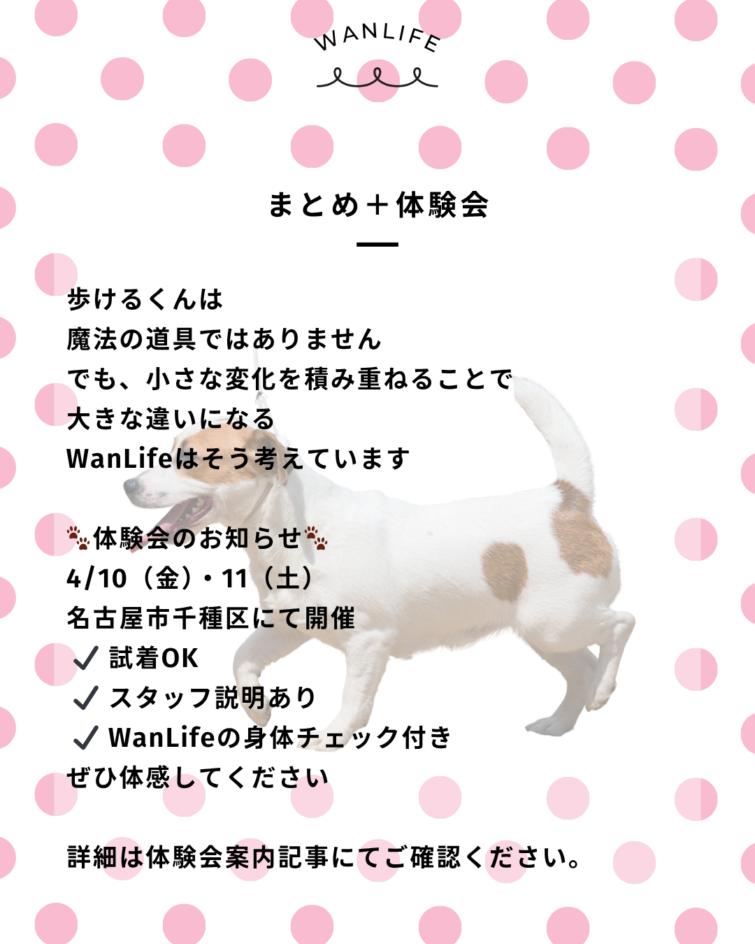 わんわん整体WanLife|愛知・岐阜の犬の整体・メディセル筋膜リリース・オベロンアニマルスキャン・歩けるくん・ネオヒーラー・温灸・食事療法|