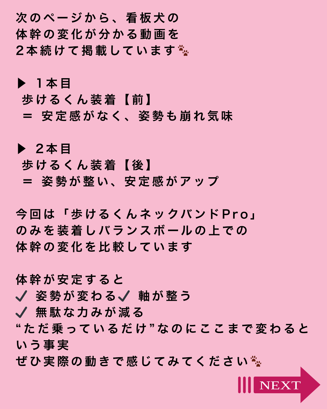 わんわん整体WanLife｜愛知・岐阜の犬の整体・メディセル筋膜リリース・オベロンアニマルスキャン・歩けるくん・ネオヒーラー・温灸・食事療法｜