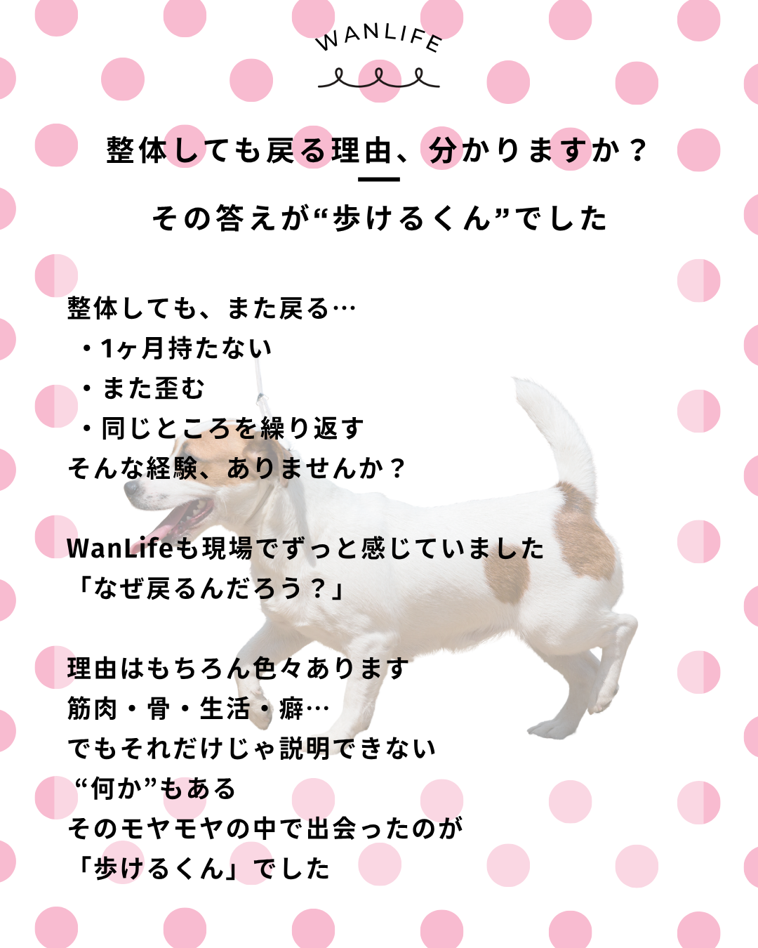 わんわん整体WanLife|愛知・岐阜の犬の整体・メディセル筋膜リリース・オベロンアニマルスキャン・歩けるくん・ネオヒーラー・温灸・食事療法|