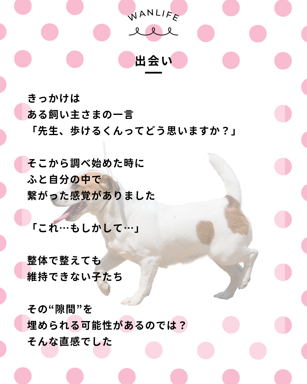 わんわん整体WanLife|愛知・岐阜の犬の整体・メディセル筋膜リリース・オベロンアニマルスキャン・歩けるくん・ネオヒーラー・温灸・食事療法|