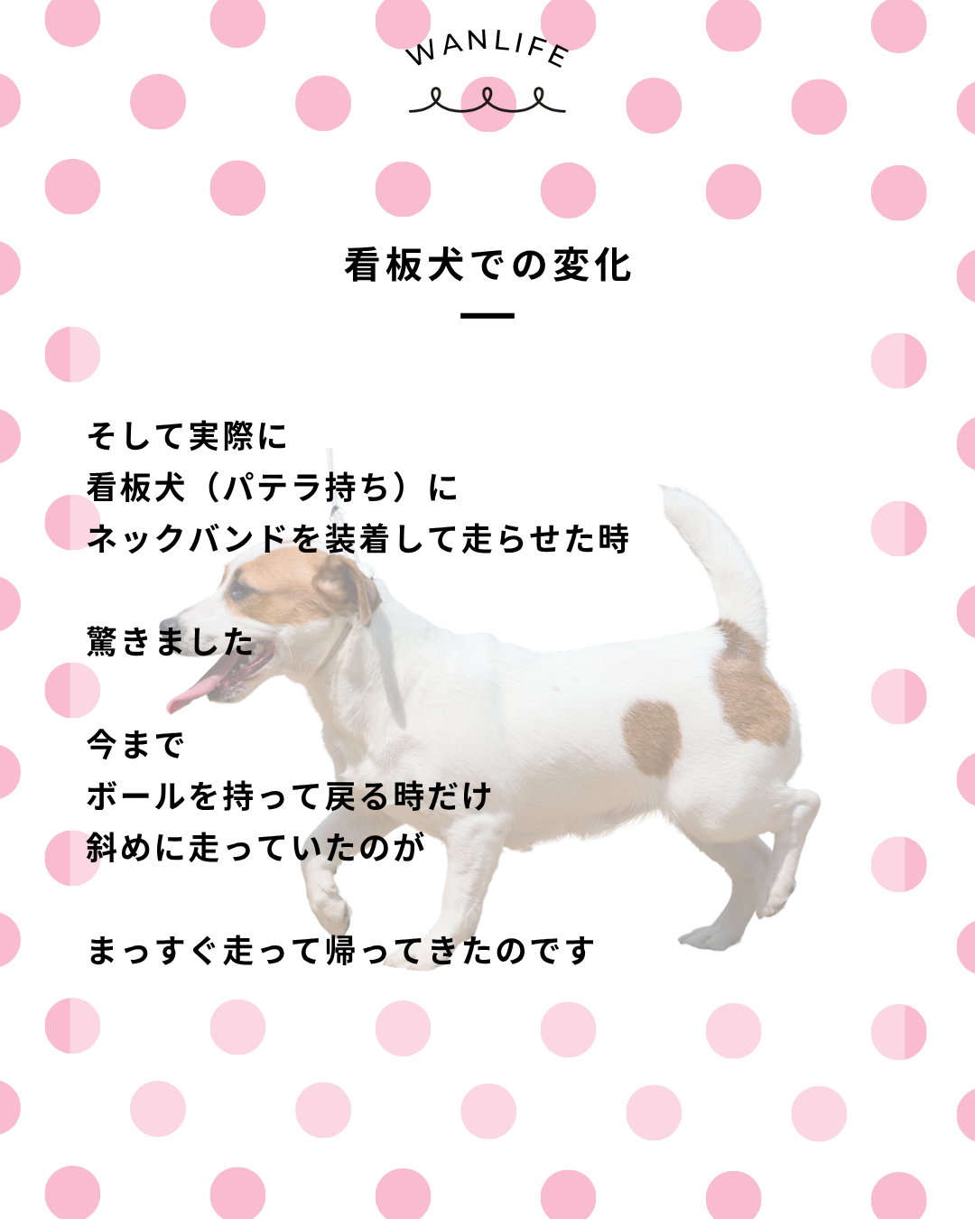 わんわん整体WanLife|愛知・岐阜の犬の整体・メディセル筋膜リリース・オベロンアニマルスキャン・歩けるくん・ネオヒーラー・温灸・食事療法|