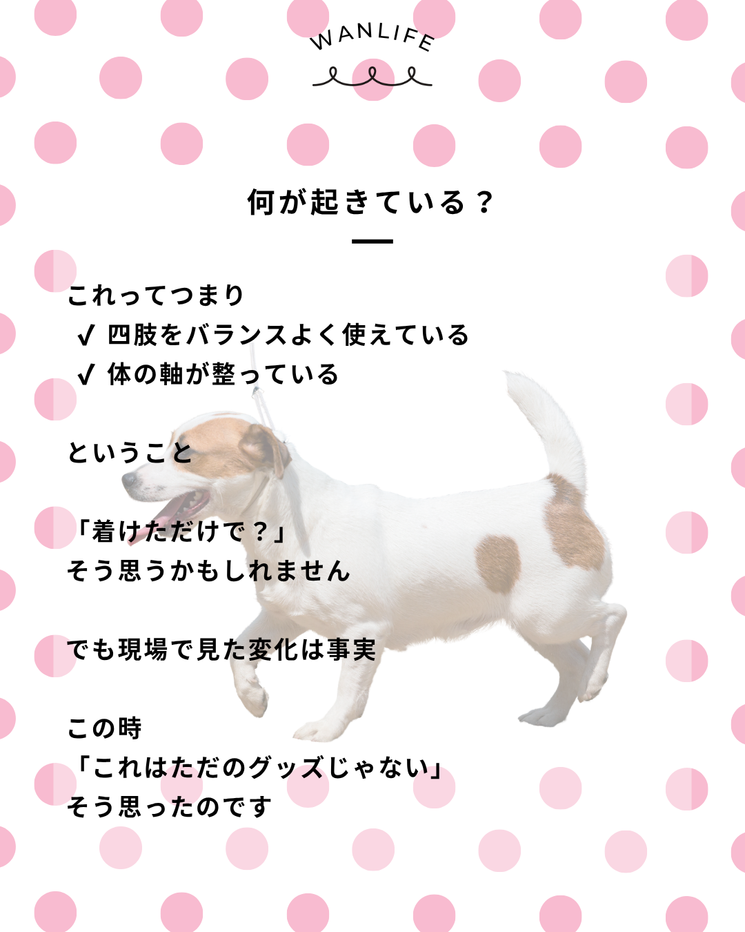 わんわん整体WanLife|愛知・岐阜の犬の整体・メディセル筋膜リリース・オベロンアニマルスキャン・歩けるくん・ネオヒーラー・温灸・食事療法|