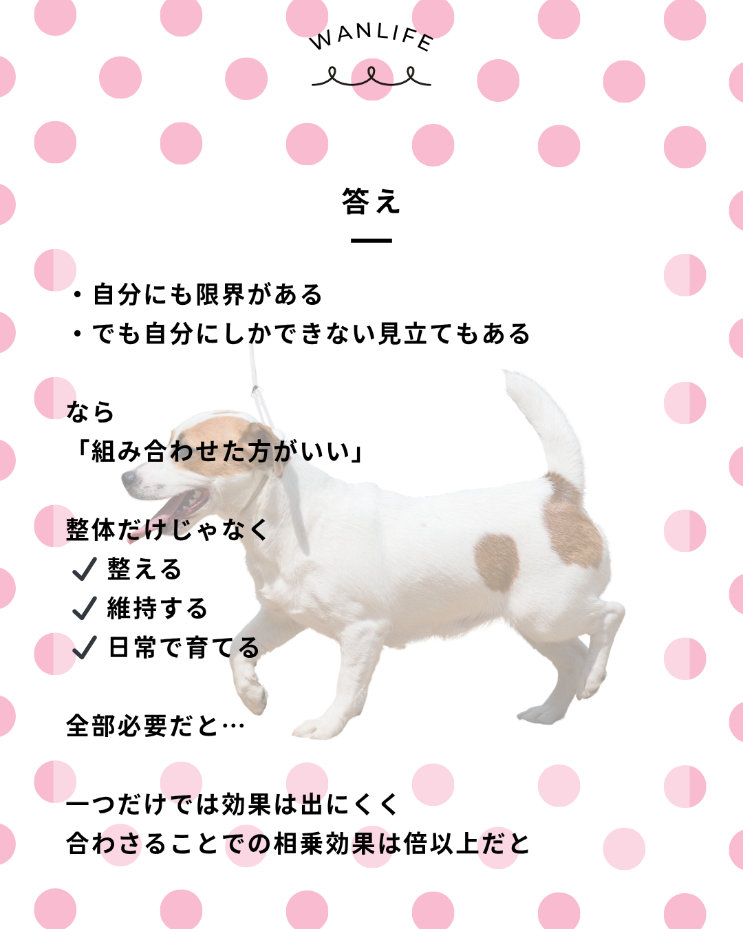 わんわん整体WanLife|愛知・岐阜の犬の整体・メディセル筋膜リリース・オベロンアニマルスキャン・歩けるくん・ネオヒーラー・温灸・食事療法|