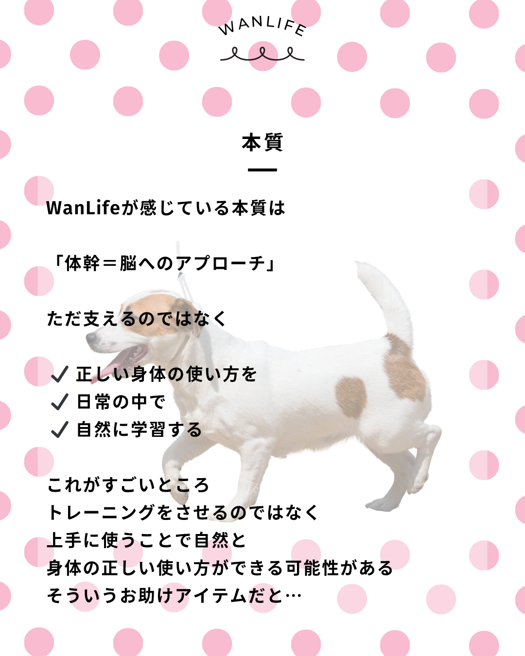 わんわん整体WanLife|愛知・岐阜の犬の整体・メディセル筋膜リリース・オベロンアニマルスキャン・歩けるくん・ネオヒーラー・温灸・食事療法|