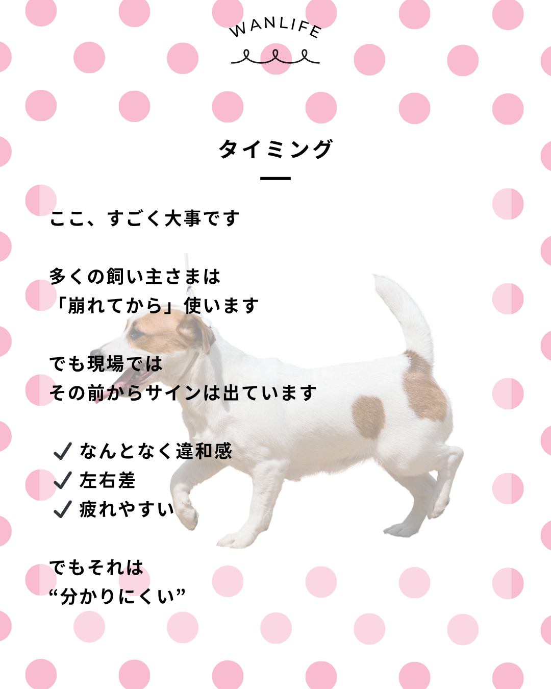 わんわん整体WanLife|愛知・岐阜の犬の整体・メディセル筋膜リリース・オベロンアニマルスキャン・歩けるくん・ネオヒーラー・温灸・食事療法|