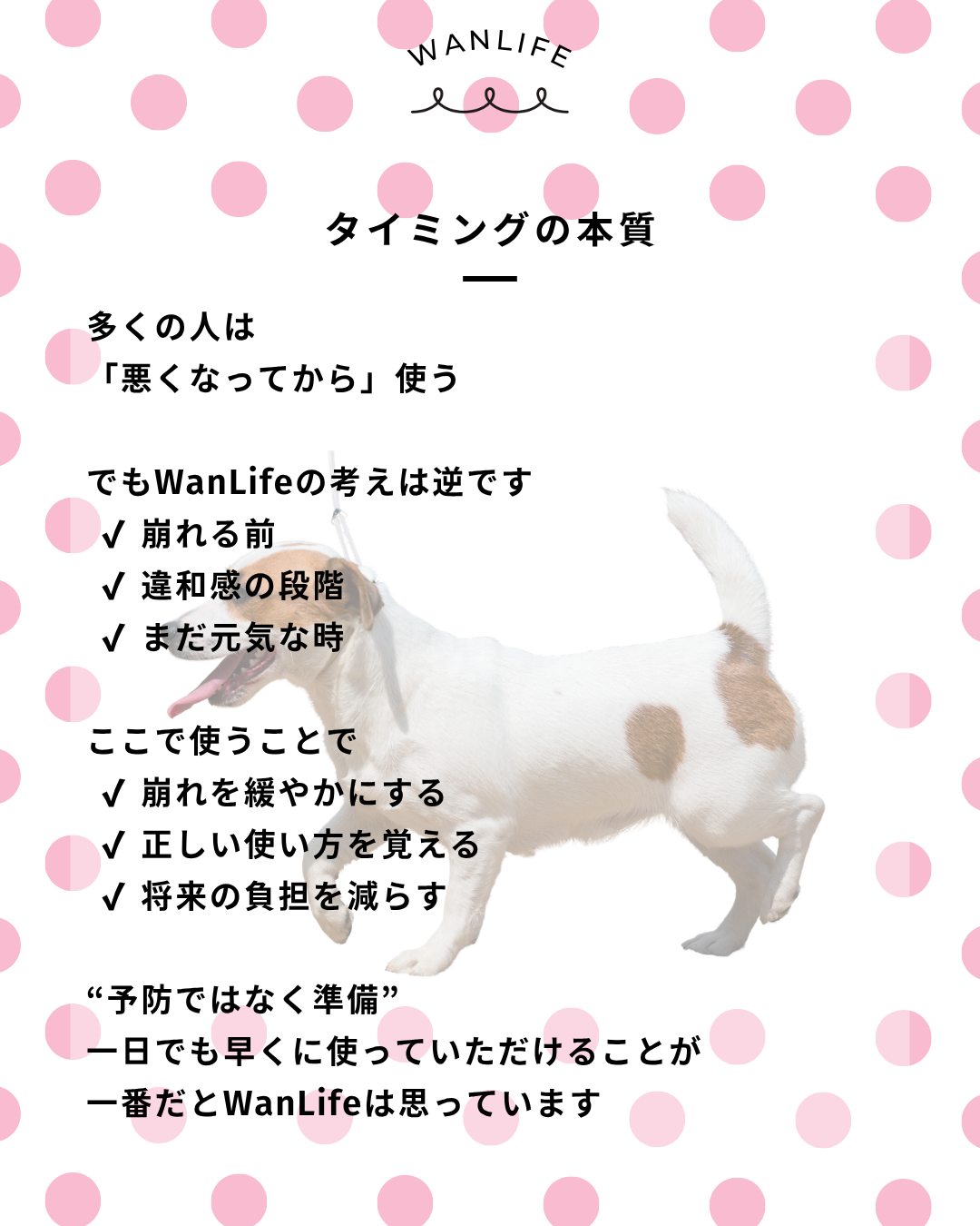 わんわん整体WanLife｜愛知・岐阜の犬の整体・メディセル筋膜リリース・オベロンアニマルスキャン・歩けるくん・ネオヒーラー・温灸・食事療法｜