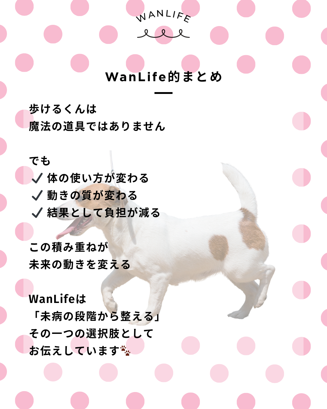 わんわん整体WanLife｜愛知・岐阜の犬の整体・メディセル筋膜リリース・オベロンアニマルスキャン・歩けるくん・ネオヒーラー・温灸・食事療法｜
