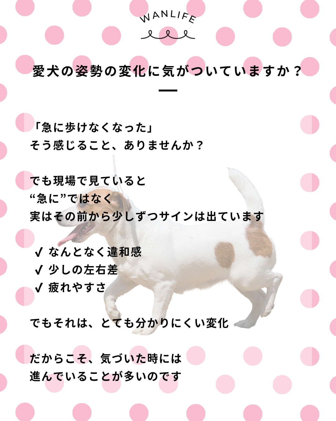 わんわん整体WanLife｜愛知・岐阜の犬の整体・メディセル筋膜リリース・オベロンアニマルスキャン・歩けるくん・ネオヒーラー・温灸・食事療法｜