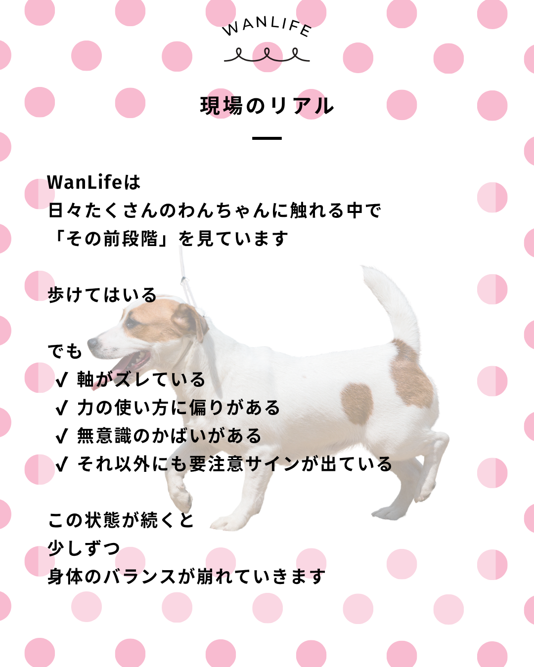 わんわん整体WanLife｜愛知・岐阜の犬の整体・メディセル筋膜リリース・オベロンアニマルスキャン・歩けるくん・ネオヒーラー・温灸・食事療法｜