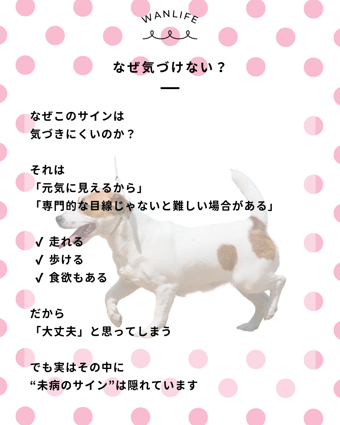 わんわん整体WanLife｜愛知・岐阜の犬の整体・メディセル筋膜リリース・オベロンアニマルスキャン・歩けるくん・ネオヒーラー・温灸・食事療法｜