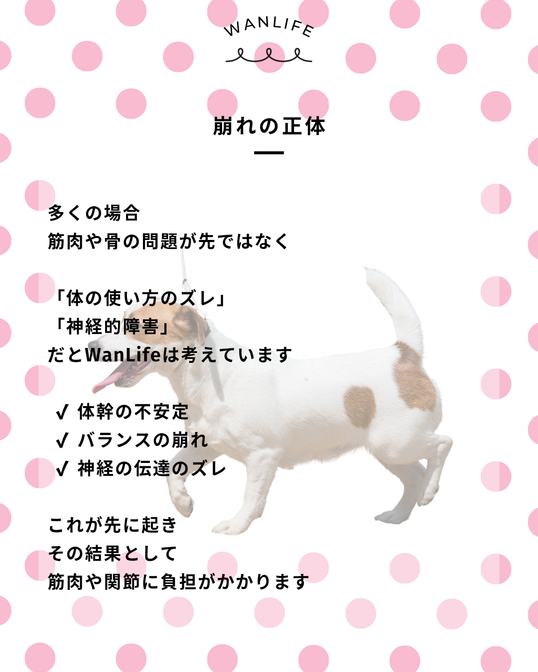 わんわん整体WanLife｜愛知・岐阜の犬の整体・メディセル筋膜リリース・オベロンアニマルスキャン・歩けるくん・ネオヒーラー・温灸・食事療法｜